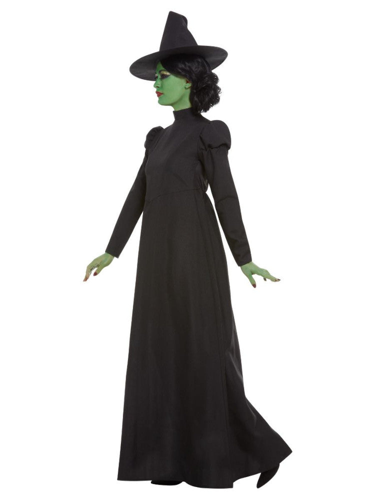 Wicked witch adult