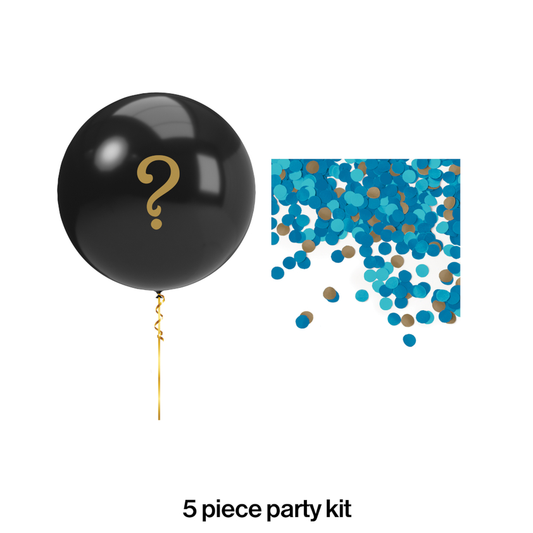 Gender Reveal Balloon Kit party supplies